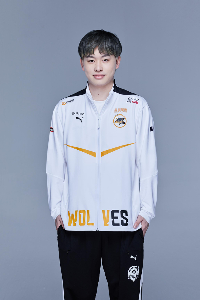 Team Liquid 官方将 kamyk 置于替补席
